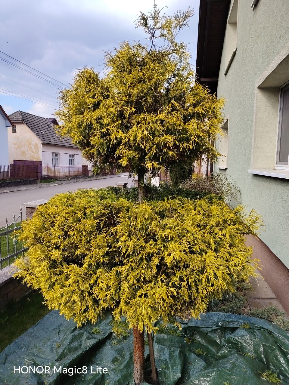 Ukážka práce 1