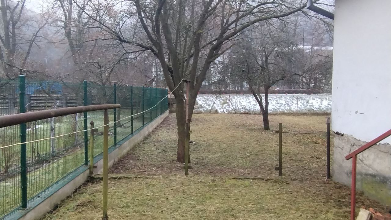 Záhrada po vyčistení